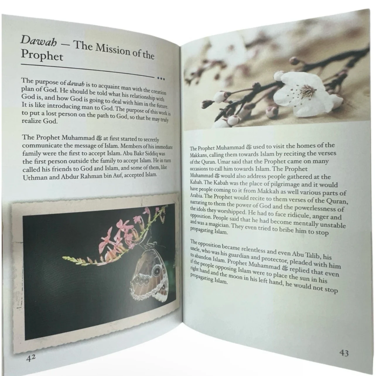 The Life of the Prophet Muhammad Made Simple by Farida Khanam A Compact Guide - Image 7